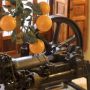 maquinaria antigua naranjera