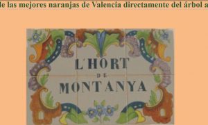 la mejor naranja